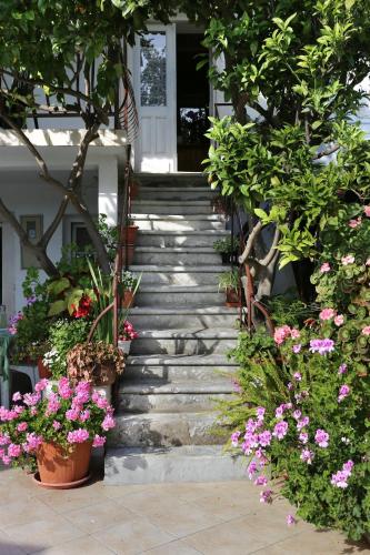 Apartments by the sea Viganj Peljesac - 10140 - image 8