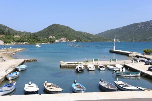 ทัศนียภาพ, Apartments and rooms by the sea Hodilje, Peljesac - 10234 in สโตน