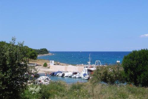 Seaside holiday house Susica, Ugljan - 9664