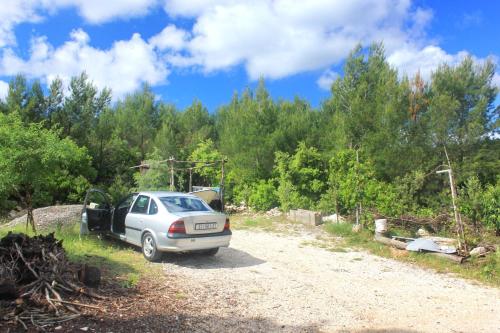Family friendly house with a swimming pool Zavalatica Korcula - 9476 - image 7