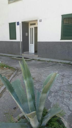 Apartments with a parking space Split - 11726 - image 8