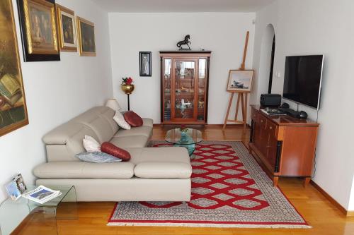 Apartments with WiFi Split - 11783 - image 9