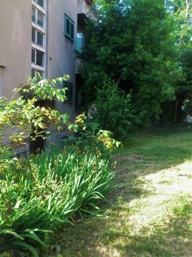Apartments with WiFi Split - 11667 - image 6