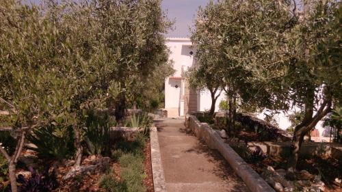  Family friendly seaside apartments Drvenik Veliki, Drvenik - 11832 in Drvenik Veli