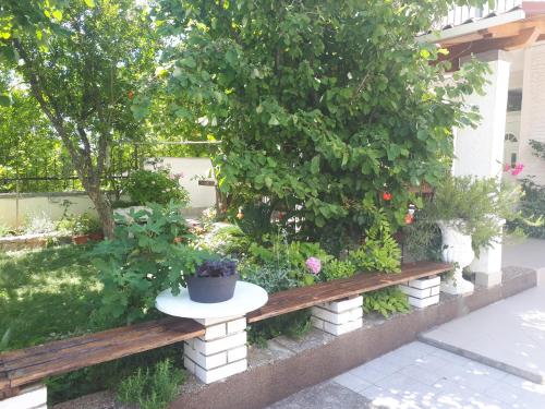Apartments with a parking space Starigrad Paklenica - 11848 - image 2