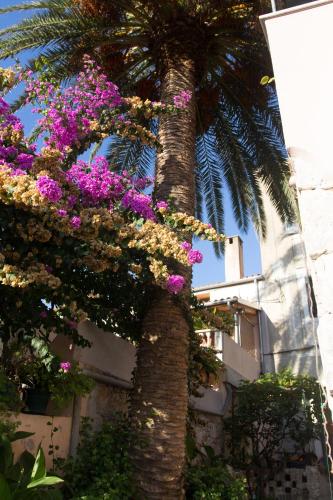Apartments with WiFi Mali Losinj (Losinj) - 11880 - image 7