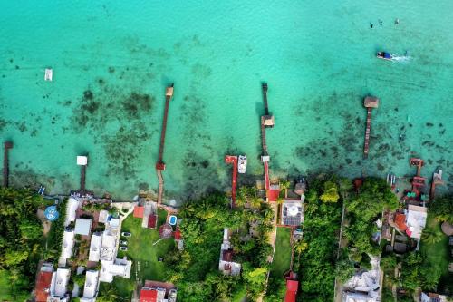 Tortuga Bacalar