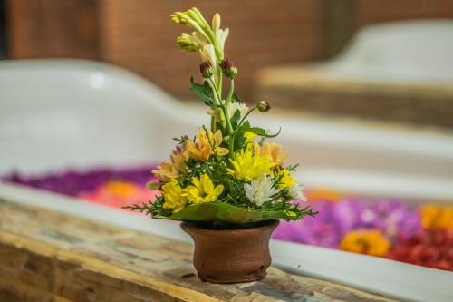 385086315 Weda Cita Resort and Spa by Mahaputra