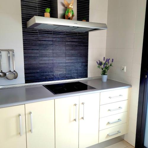 Mi casita playera Mi casita playera