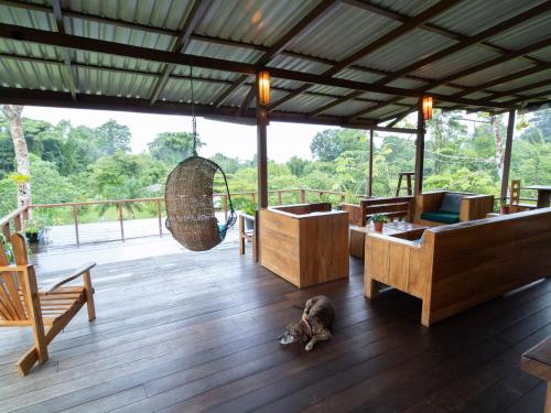 The 8 Best Hotels in Drake Bay, Costa Rica: All Budgets