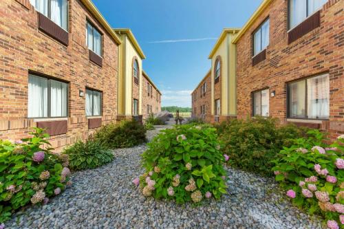 Quality Inn Alexis Rd - main image