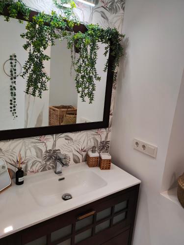 Hola Apartament Alicante 3