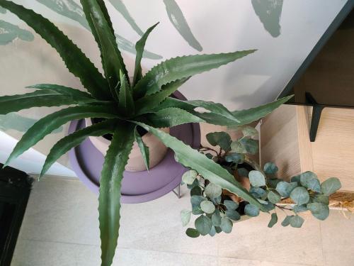 Hola Apartament Alicante 5