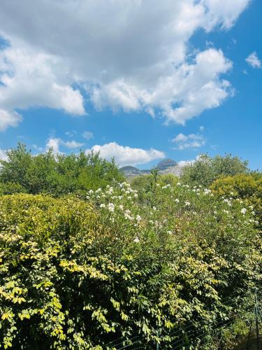 Maison de charme au pied du Garlaban gîte à louer Les Boyers