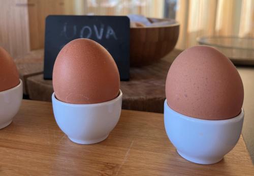 Hotel Corallo Rimini - image 4