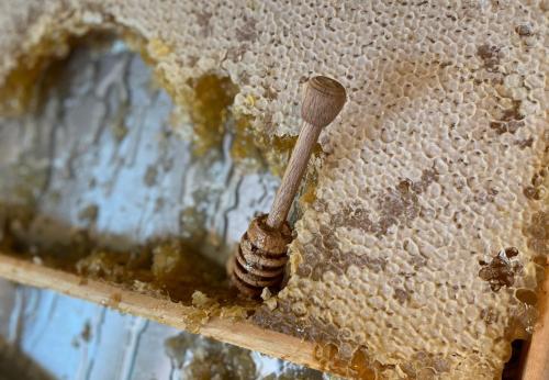 Hotel Corallo Rimini - image 8