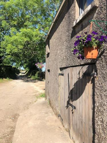 B&B Cork - Lucys loft - Bed and Breakfast Cork