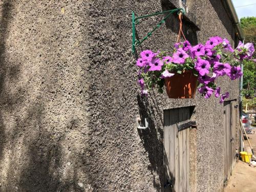 Lucy's Loft in Cork Airport