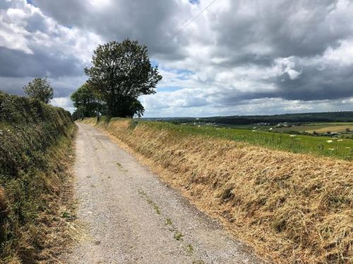 Lucy's Loft in Cork Airport