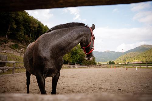 Hotel Mas de Xaxas - image 7