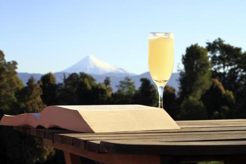 Lodge El Taique - Accommodation - Puyehue