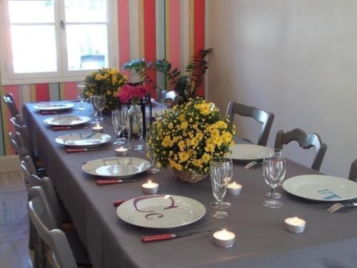 Gîte Cravant-les-Côteaux, 6 pièces, 10 personnes - FR-1-381-395 (Gite Moderne 10 Pers. en Touraine avec Jardin, WiFi, Pres de la Vienne et Vignobles de Chinon - FR-1) in Cravant Les Coteaux