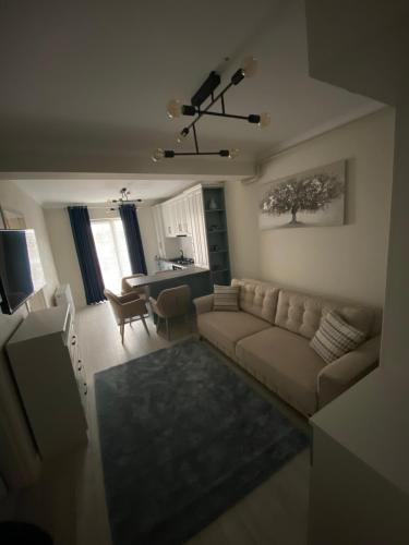 Apartament Ozana - Apartment - Tîrgu Neamţ