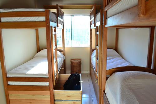 Sea Wolf Surf Hostel — Photo 2