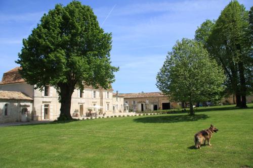 Château Manoir de la Lèche photo 19