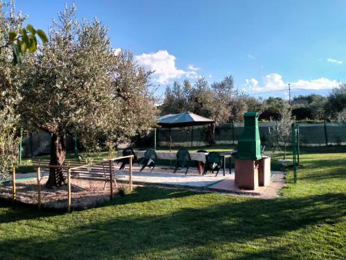 Azienda Agricola "Valle dell'Alento"