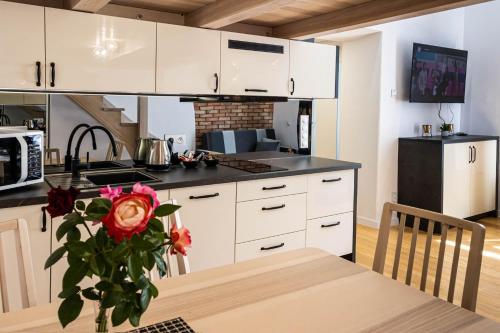 Old Cracow Apartment 4