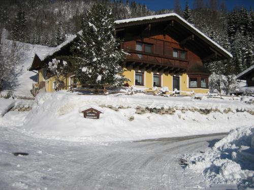 Ferienwohnung Hofer - Apartment - Pruggern