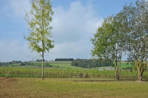 Petit coin de paradis - image 12