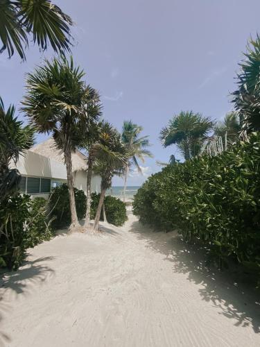 Tuup Tulum, Tulum (foto 7)
