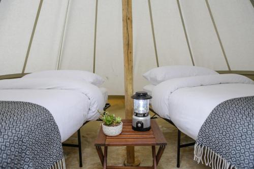 Safari Tent with Three Twin Beds and Shared Bathroom