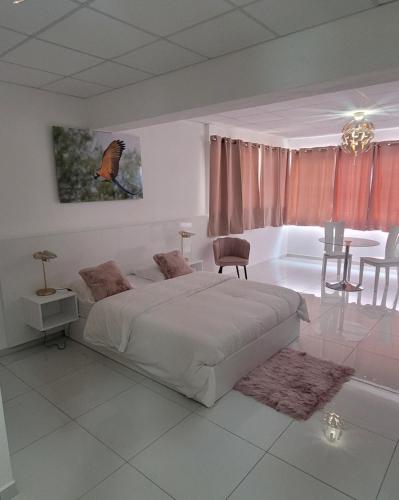 Hello Guyane (8), Suite charme luxury, 5 étoiles, Kajenna (zdjęcie 10)