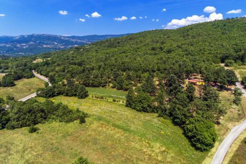  Secluded holiday house Forcici, Central Istria - Sredisnja Istra - 12233 in Roč