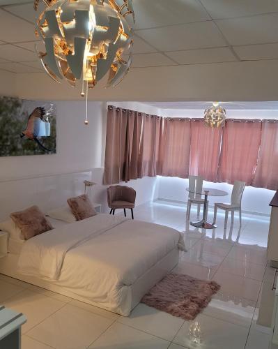 Hello Guyane (8), Suite charme luxury, 5 étoiles, Kajenna (zdjęcie 9)