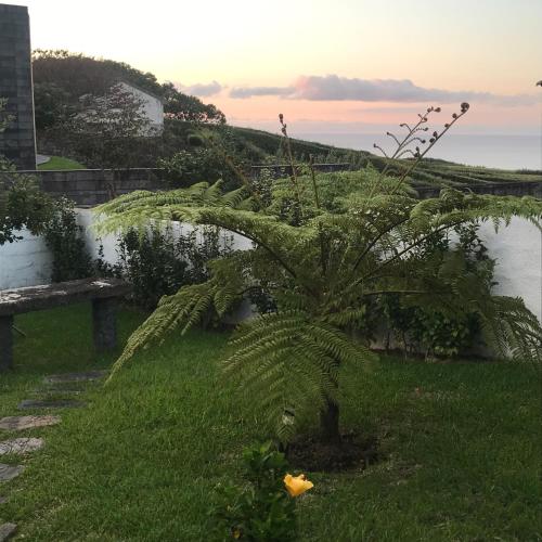 สวน, Charming green country house in ปอนตา เดลกาดา