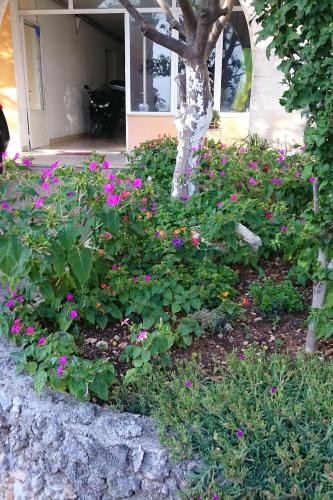 Apartments with a parking space Podgora Makarska - 12306 - image 6