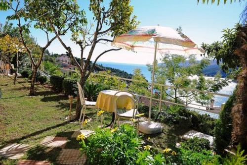 Studio Rabac 12368a - image 5
