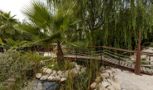 Kert, Jardines de Casablanca in Caravaca De La Cruz