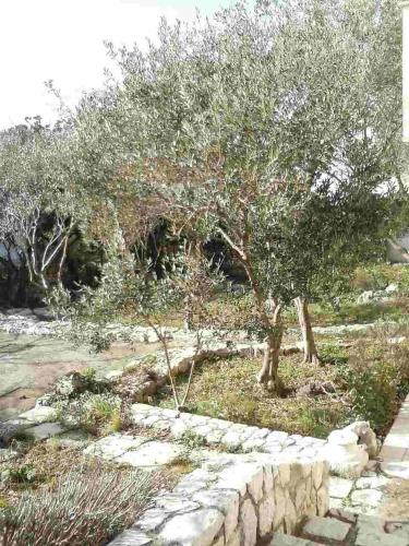 Apartment Cres 12609a - image 12