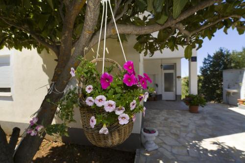 Apartments with a parking space Seget Vranjica Trogir - 12612 - image 7