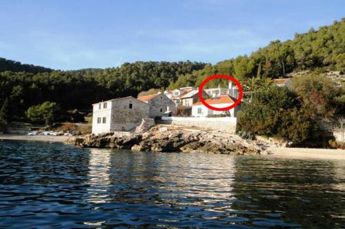  Seaside secluded apartments Cove Tvrdni Dolac, Hvar - 12655 in Gdinj
