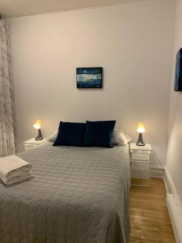 BIG 3BR appartment at Olympic Stadium at PIE-IX Metro station near Piri Piri Hochelaga