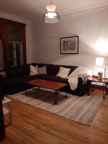 BIG 3BR appartment at Olympic Stadium at PIE-IX Metro station near Piri Piri Hochelaga