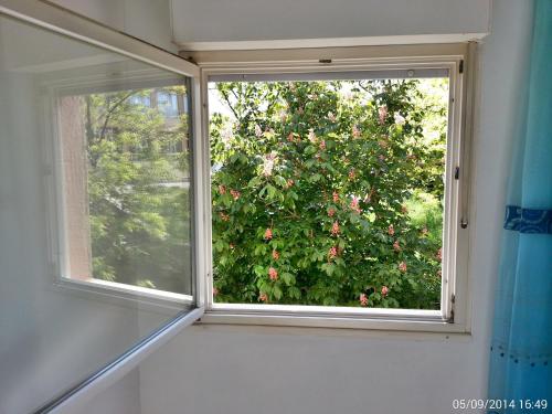 Apartments with WiFi Split - 12661 - image 9