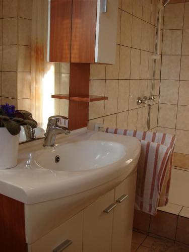 Apartment Pag 12795a - image 8