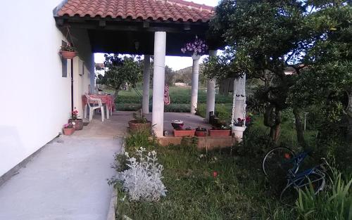 Apartments by the sea Mrljane Pasman - 12955 - image 7